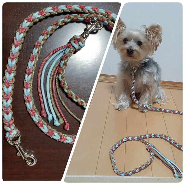 C64d3b39 040e 4ade 93d9 c8daeba59206 1668933902401