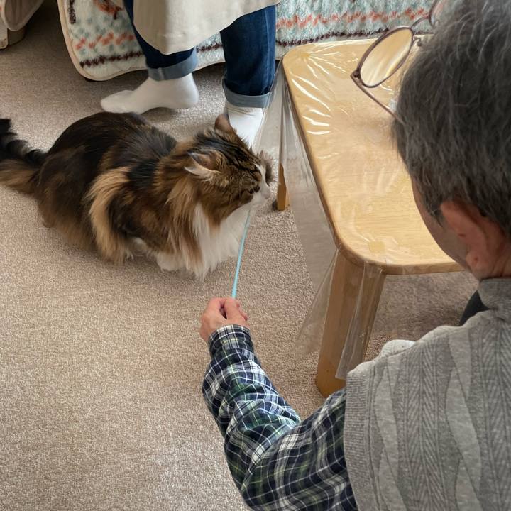 C64d6ee7 6410 446d a0be b1d7f66b213e 1678491396709