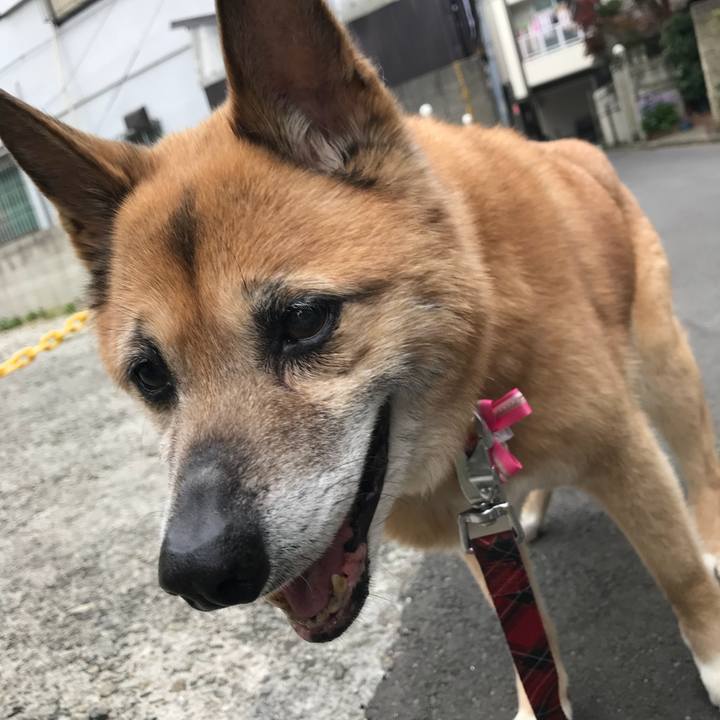 C64d95ea b4b5 4c7d 9ca7 f645fc919348 1523086748991