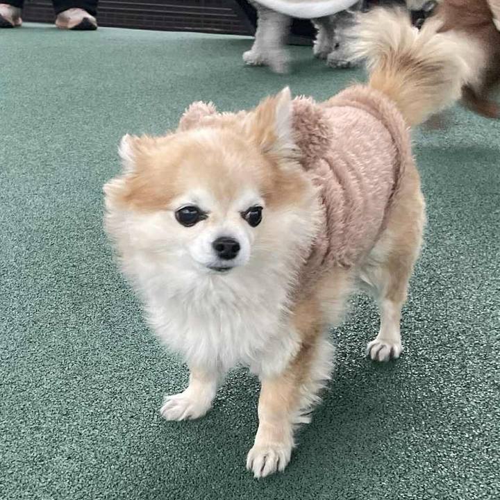 C64dc955 89a6 4ac9 bd64 94f518efcd18 1768901413934