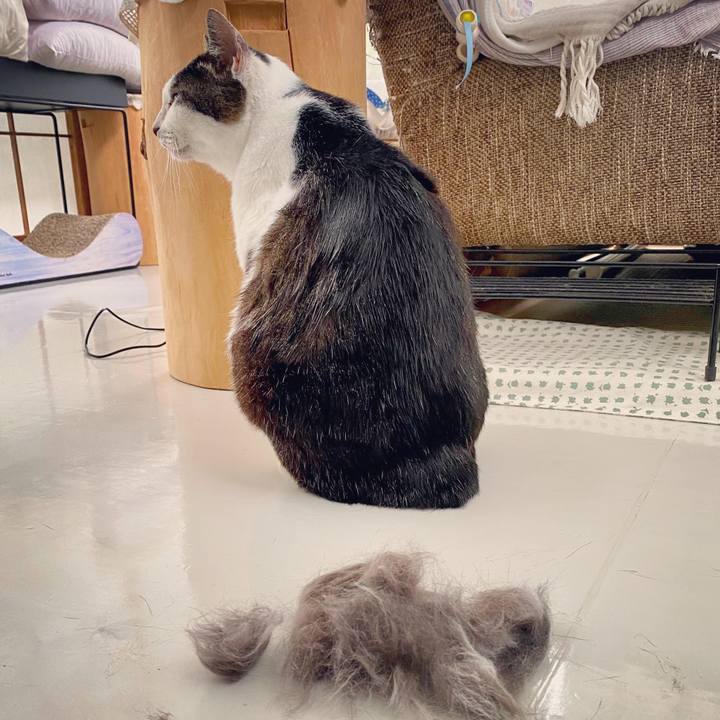 C64dd45d f8a6 476c ac7c 1e217ac41f69 1595656590366