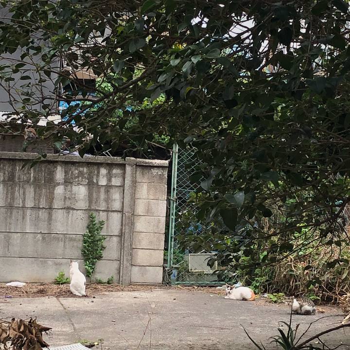 C64dfad5 2300 4330 9fa5 07d61475707b 1524067852353