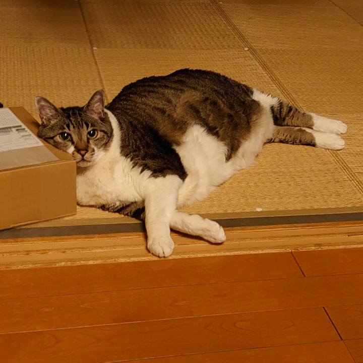 C64e0f5e 7be9 4c3b a363 7c48b4d14f00 1674224815320