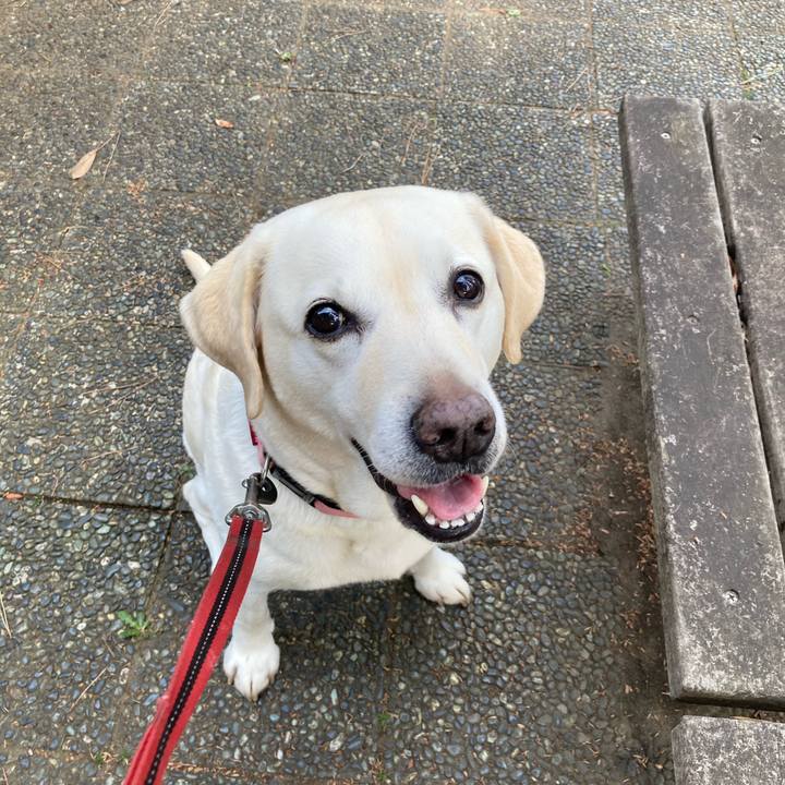 C64e1bb8 395e 4aba bc0e e4da69ee25e1 1743841484776