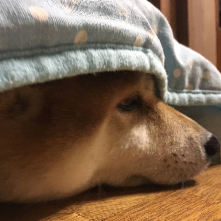 C64e3207 536a 4039 b39b 6ffd89ad4a67 1566995879718