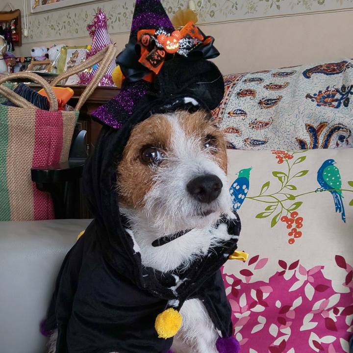 C64e73fa ebe0 4852 9f17 b5c1065b78ee 1572494405415