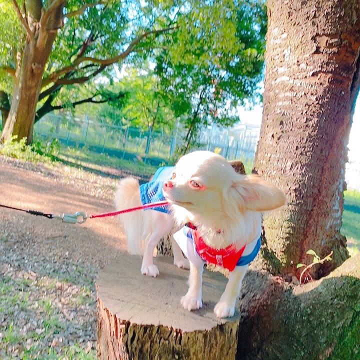 C64eb2cd 924e 470a b625 351aae32fcbd 1626613158023