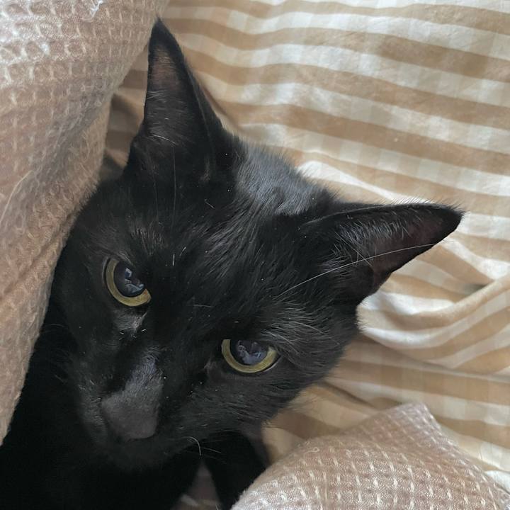 C64ee567 5d4f 4b55 abe8 97158e842aa2 1735960251849