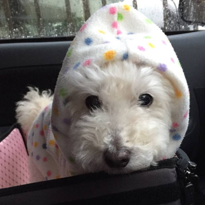 C64ef6f7 cc6d 449f ad5a 9434ab7822b5 1508390398176