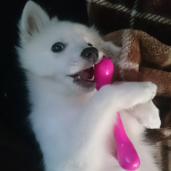 C64f06b7 b03b 47b5 b272 39a30130bf04 1544772086337