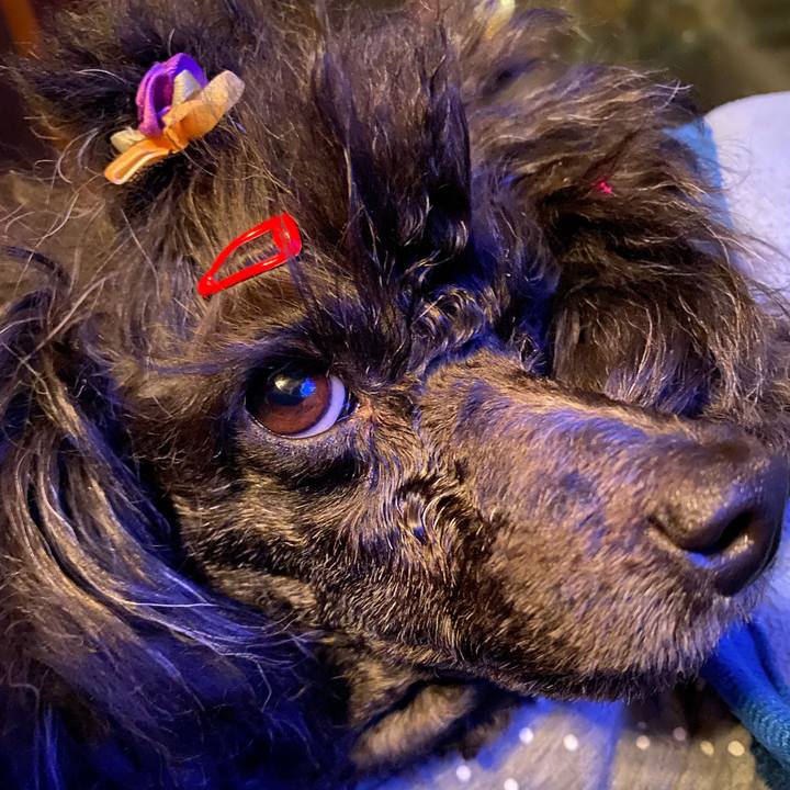 C64f0ae4 161e 401b a809 d3d2c54da30d 1639460038133