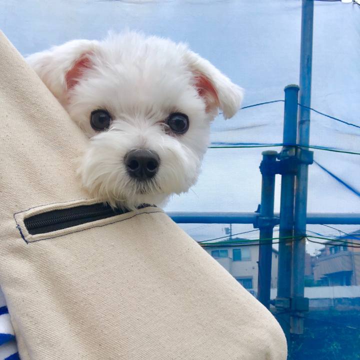 C64f0e67 af8f 43bd b473 f669d705f0ab 1563669188631