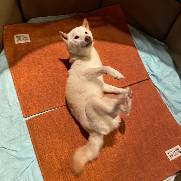 C64f2fd7 44ee 4f7f b227 22591d2dd92f 1662041878160