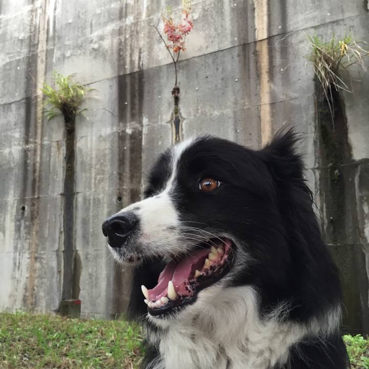 C64f554f 85b1 4461 9828 b9e5990a699c 1538178261019