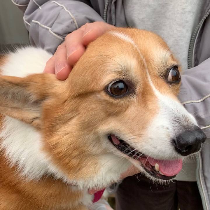 C64f787d 7377 423a 8d2d fb0ddd0a0a8f 1700978305617