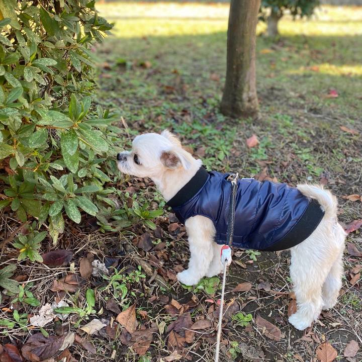 C64fda23 2e90 476d abb4 9782df6abb19 1575771651819