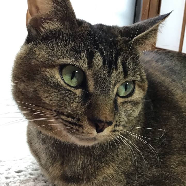 C64ff838 567d 4470 9f19 b161fb3c4bb6 1634550540188