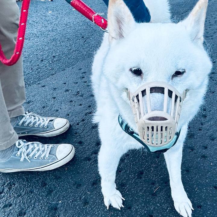 C6503fc6 257a 48a3 8129 3695c3f7b535 1699573529287