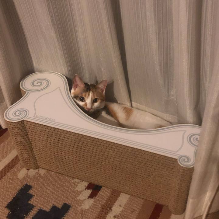 C650649e 1f7e 451a a39e 87d8fc47df55 1593947654497