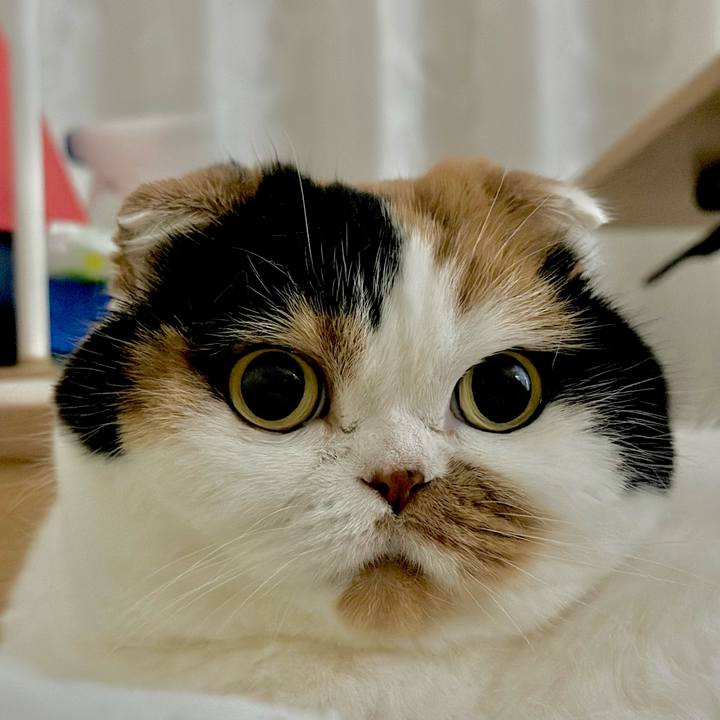 C6508b67 5591 4b2b b8b5 3d0e4762affe 1702367364464