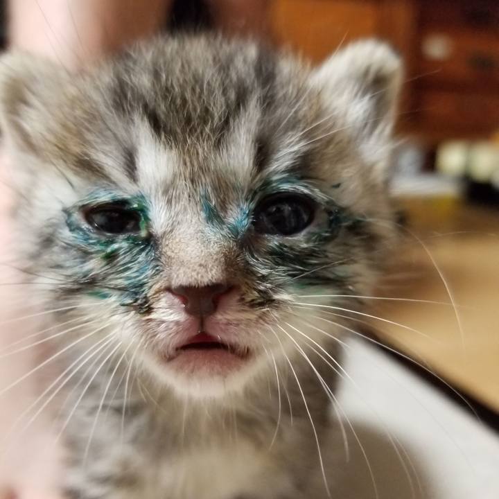 C650b805 d7b6 4c92 878a 0e433d11ae14 1659694888921