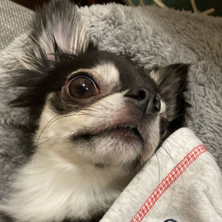 C650d145 3505 487a 87c9 5c5e4c604d4e 1641649356331