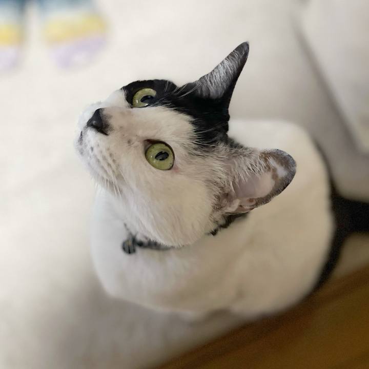 C650fe14 4321 4b0b b2af 8bac663a4e1c 1769555517072