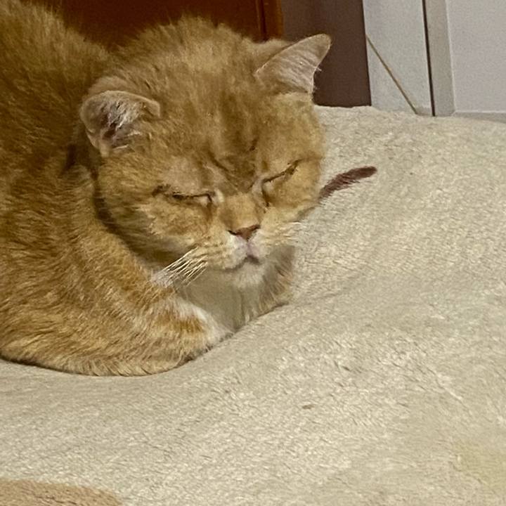 C65105b3 3278 41cd 9101 e6973f46d988 1677335799698