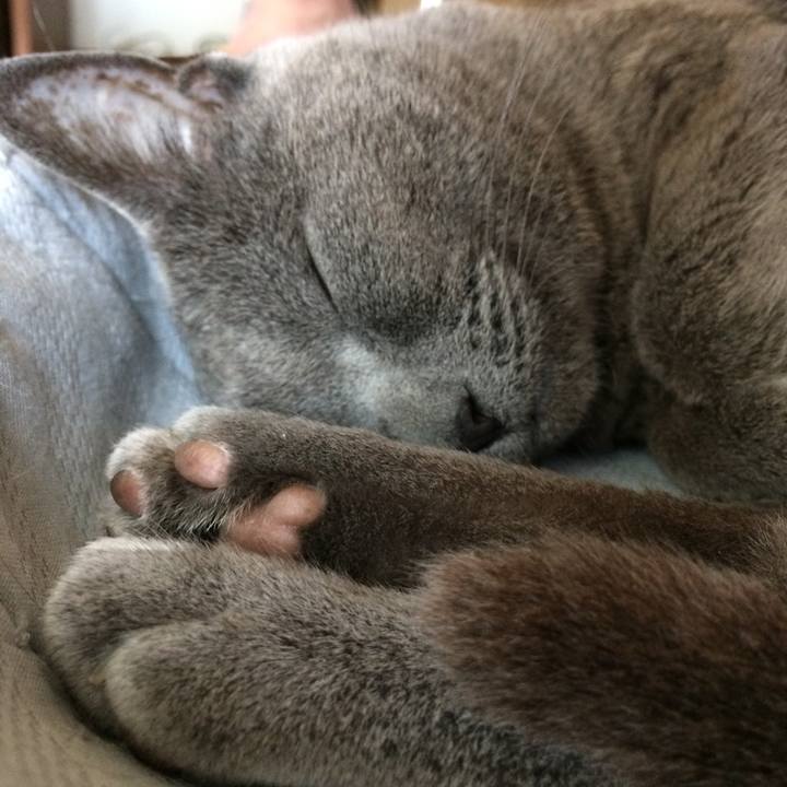 C6510da3 9bb0 450f be33 33f909b7b389 1527897503102