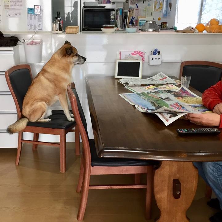 C651380f fcc2 4ca8 991b 1726ad6151b5 1548805451964