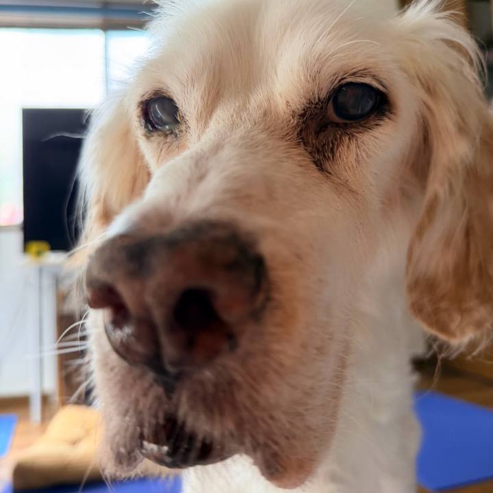 C651876d 18dd 4252 87e3 bc394325e87c 1760934760050