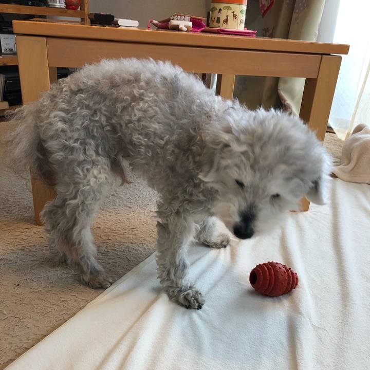 C6522946 8d73 45bc ae4a 07a424ed41d5 1650500311629