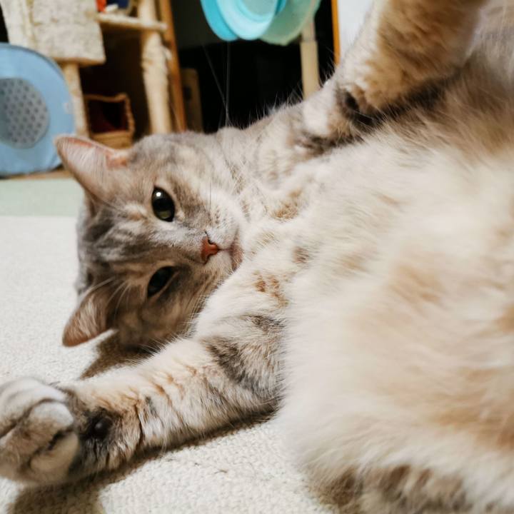 C6522e58 7a91 4ec6 800c 507952cdadde 1631028037127