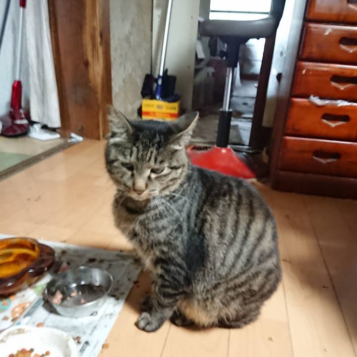 C6527dfd 51b9 4530 965e 3ed636f4d202 1657919924652