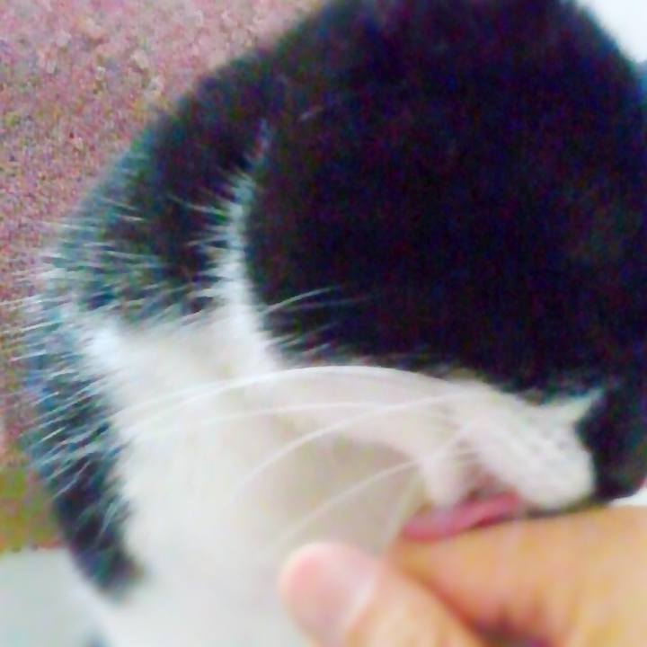 C652fd81 6a84 4b95 ba33 845f7d6483bc 1524051223331