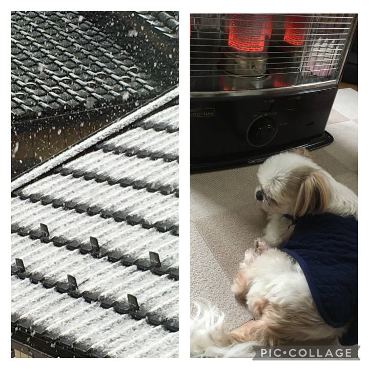 C6530a43 7e12 45e7 9671 6aa4f523b79d 1641448222530