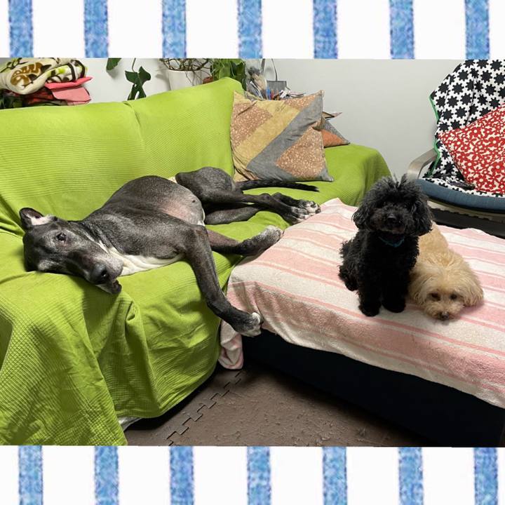 C65324d7 037b 4141 bef2 7019943974a0 1625783445051