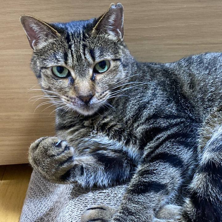 C6534756 6163 4932 a12b deee2e8e33fd 1654258954296