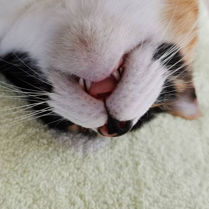 C6535489 aad7 4526 b26e ab28ab2fde53 1623399280626