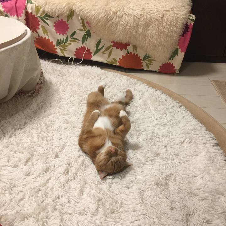 C653695a 3491 4dc7 9f03 2726ce68081c 1557060443384