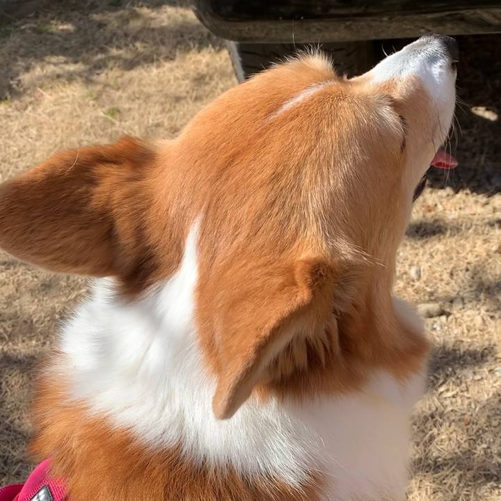 C65378a3 bf41 453d 9b23 7195151aec10 1645851385079