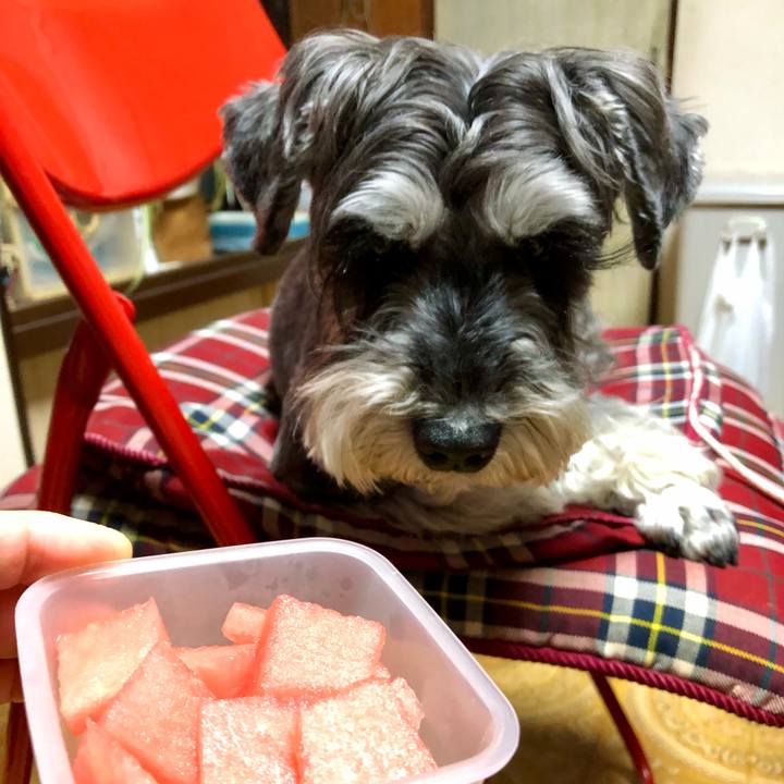 C653ea01 1a65 4f51 a91a ed10f978e0d8 1653573798542