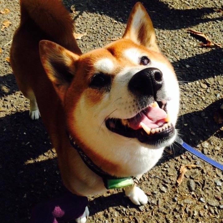 C653fe90 cf8b 4c16 a7db 11b5f8bc5862 1637242557396