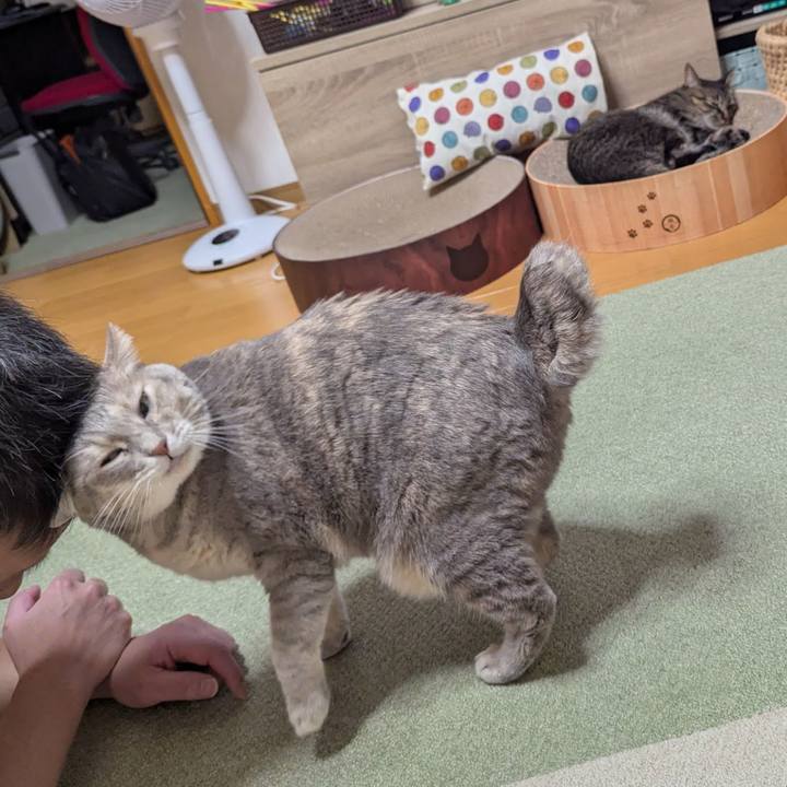 C65414be 5d90 4e4c b082 1a28bcb02cf0 1759819016209