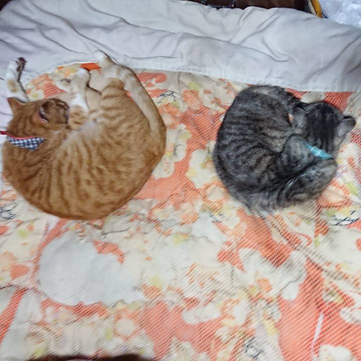 C6542a93 d67f 4110 88d9 1166be6b251f 1569759461804