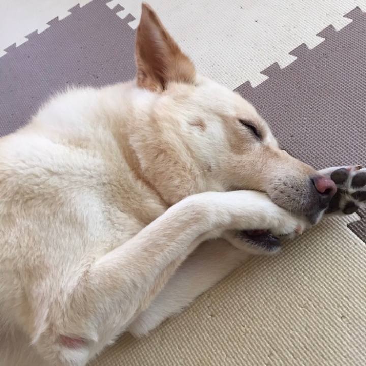 C6546258 2320 4966 8da1 1503c2b1e3d6 1664625107747