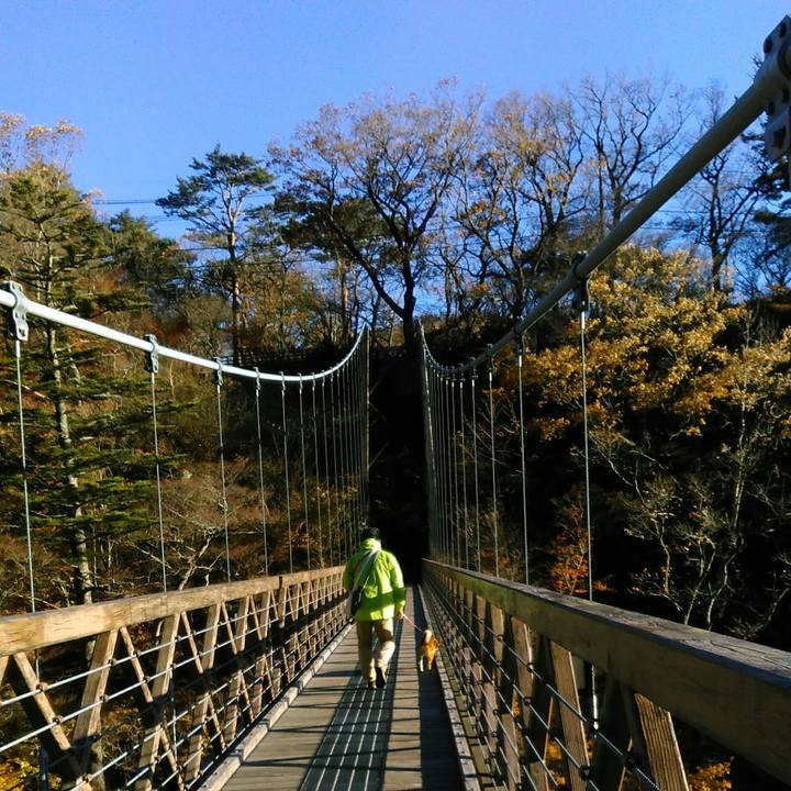 C654689f bb39 4cae 8435 9caf33de59cb 1510470181107