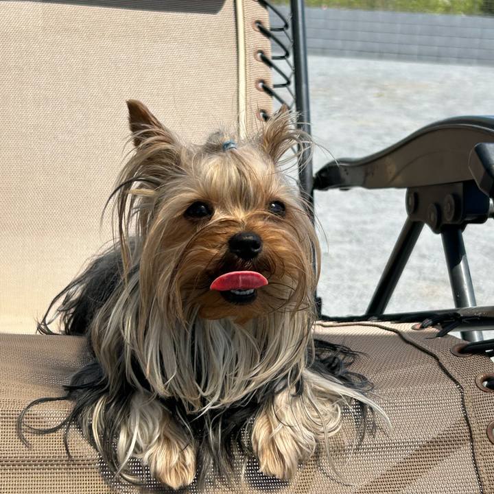 C6546d36 57be 4404 8423 6f10a54d26d9 1714799205889