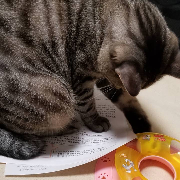 C6546e45 e51a 4a77 affa 352c8fb44c7f 1693185096069