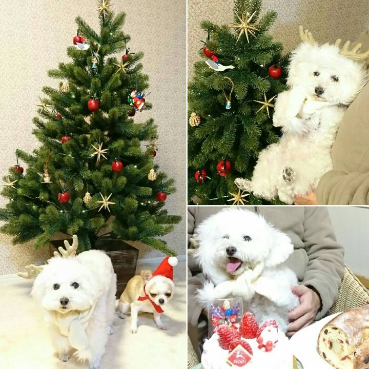 C654bafd 765c 49a5 a181 31fb38d773bb 1514212835238